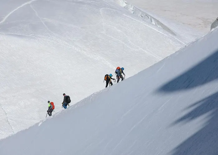 公寓 Grand Roc - Ancolies 103 - Happy 霞慕尼